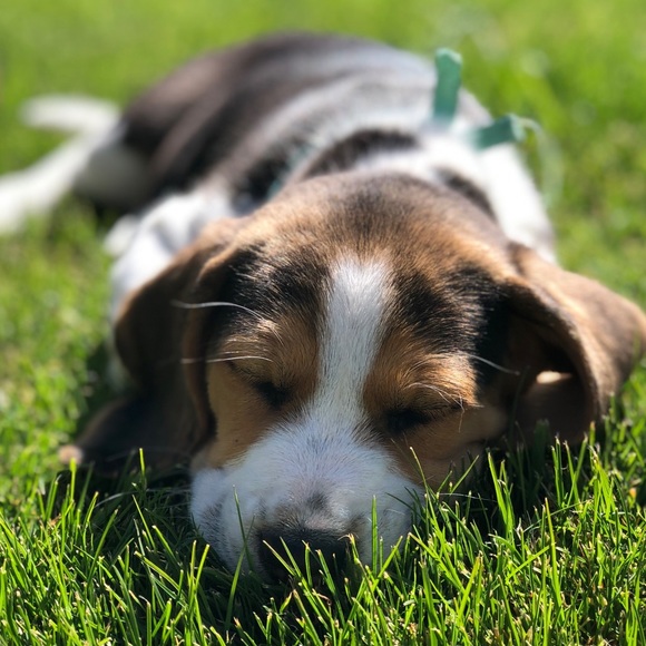 Meet your Posher, Christine - Picture 13 of 16